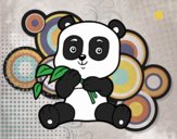 Un oso panda