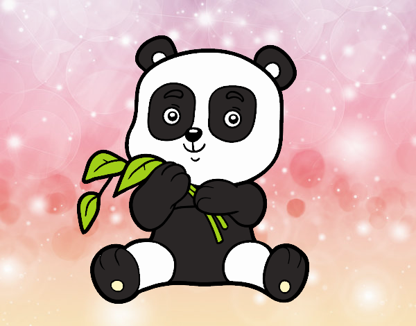 Un oso panda