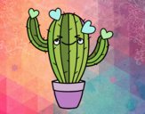 Cactus corazón