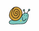 Caracol 4