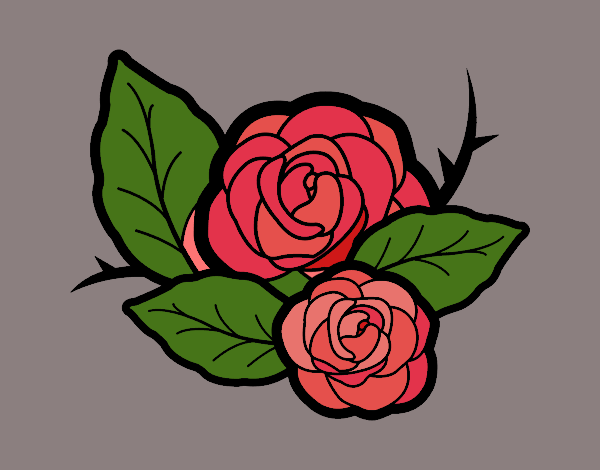 Dos rosas