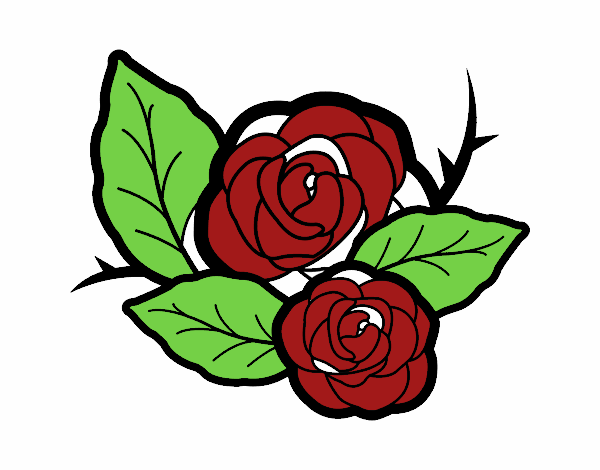 Dos rosas