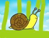 El caracol