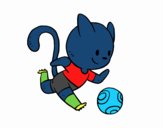 Gato jugando a fútbol