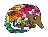 Pangolin