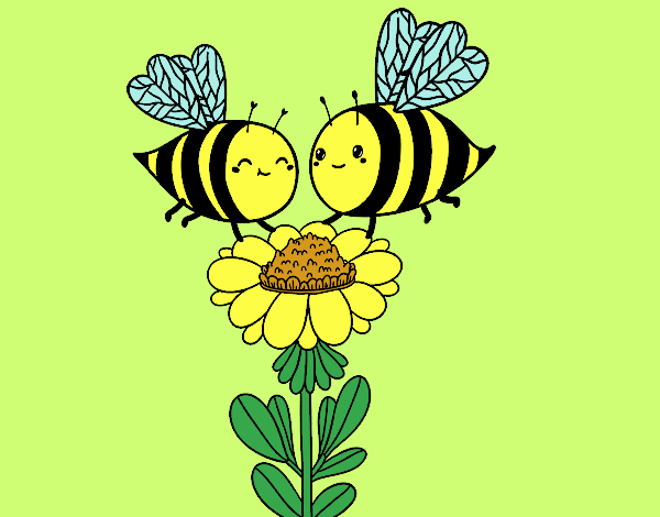 Pareja de abejas