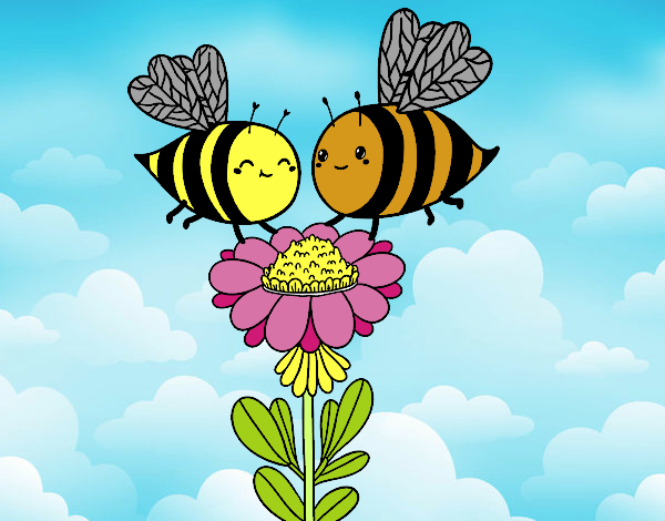 Pareja de abejas