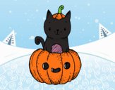 Un gatito de Halloween