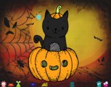 Un gatito de Halloween