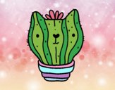 Cactus gato