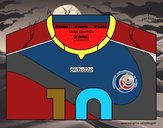 Camiseta del mundial de fútbol 2014 de Costa Rica