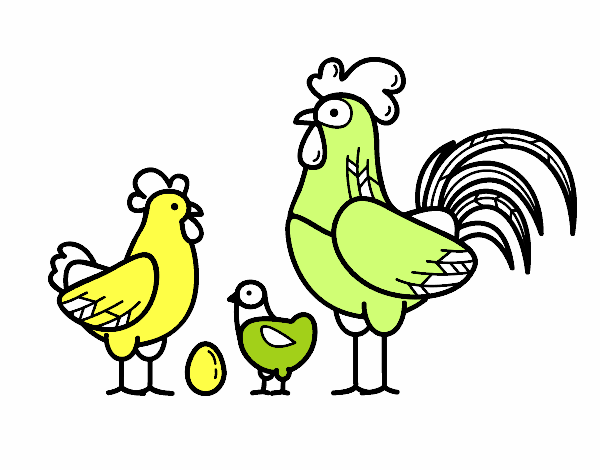 Familia gallina
