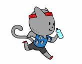 Gato runner