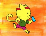 Gato runner