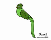 Quetzal