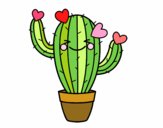 Cactus corazón