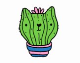 Cactus gato