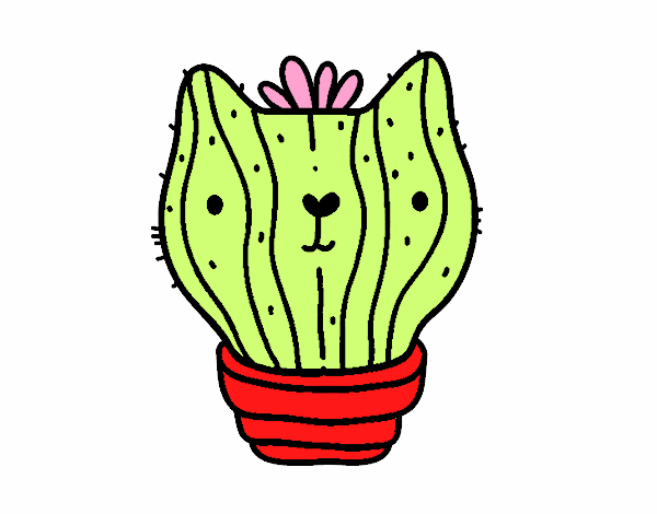 Cactus gato