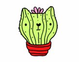 Cactus gato