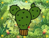 Cactus nopal