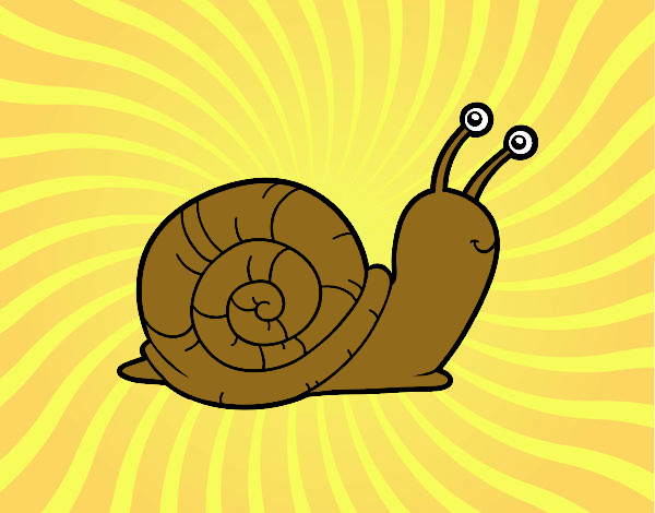 El caracol