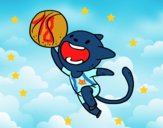 Gato jugando a baloncesto