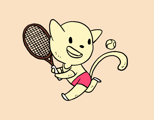 Gato tenista