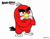 Red de Angry Birds