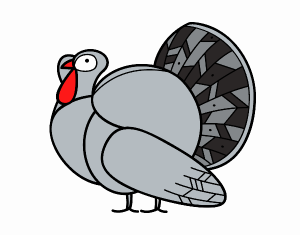 Un pavo