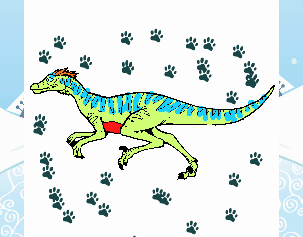 Velociraptor