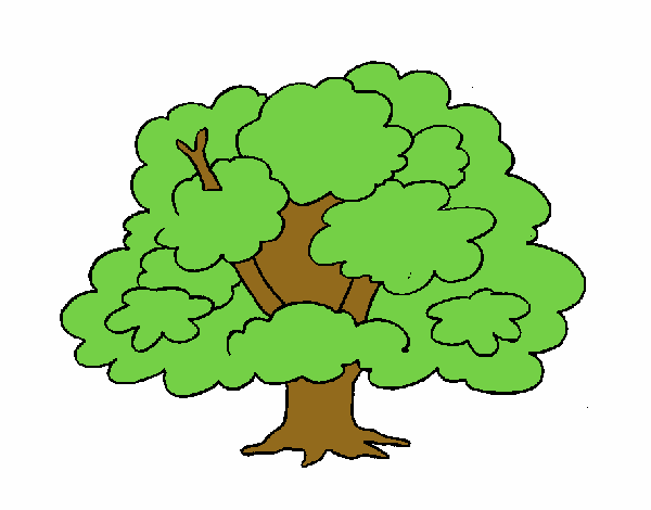 Árbol