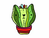 Cactus gato