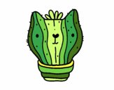 Cactus gato