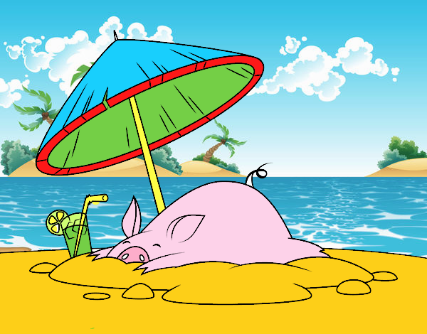 Cerdito en la playa