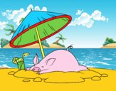 Cerdito en la playa