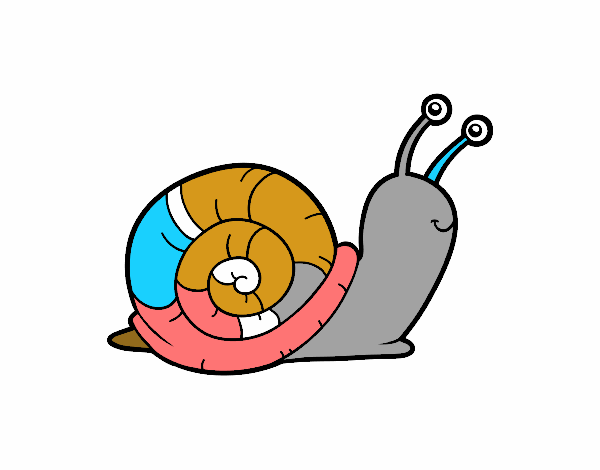 El caracol