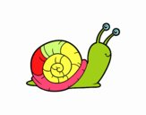 El caracol