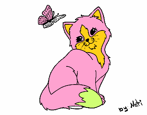 Gatito y mariposa