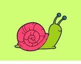 Un caracol