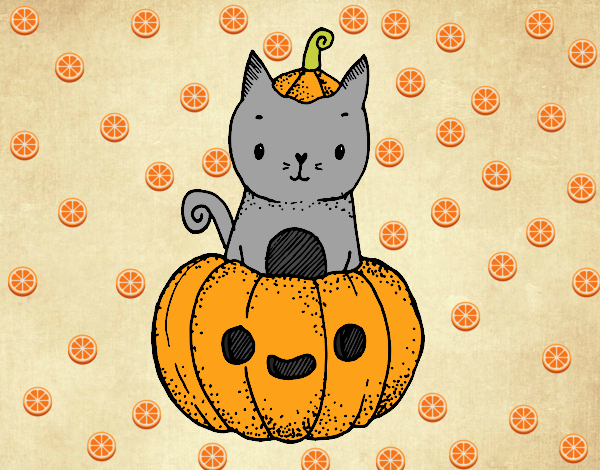 Un gatito de Halloween