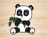 Un oso panda