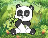 Un oso panda