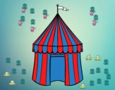 Carpa de circo