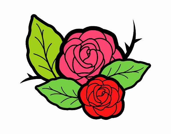 Dos rosas