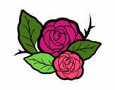 Dos rosas