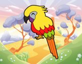 Guacamayo