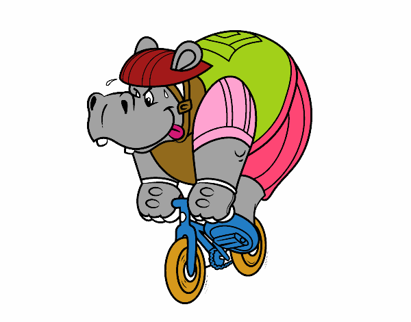 Hipopótamo ciclista