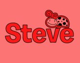 Nombre Steve