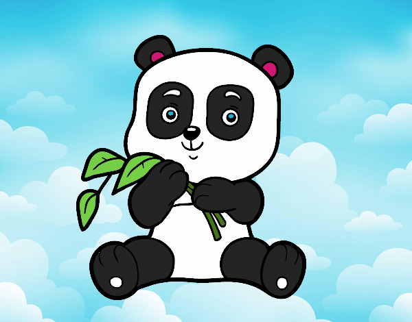 Un oso panda