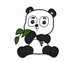 Un oso panda